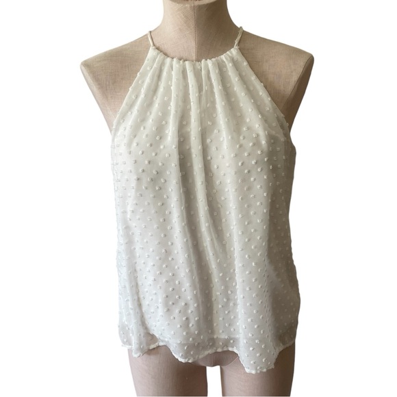 Anthropologie SUNDAY IN BROOKLYN Swiss Dot Blouse Top - Picture 1 of 8